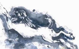 Animal Studies with Eastern Brush Painting at Greystoke - Irene Sanderson