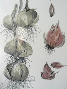 Introduction to Pen and Wash with Margaret Jarvis at Greystoke Cycle Cafe