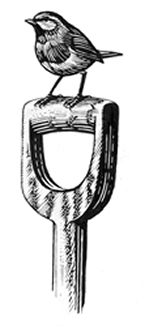 Wood Block engraving 'Quirky Workshop' 2 day course with Peter Brown at Greystoke Cycle Cafe, Lake District , Cumbria